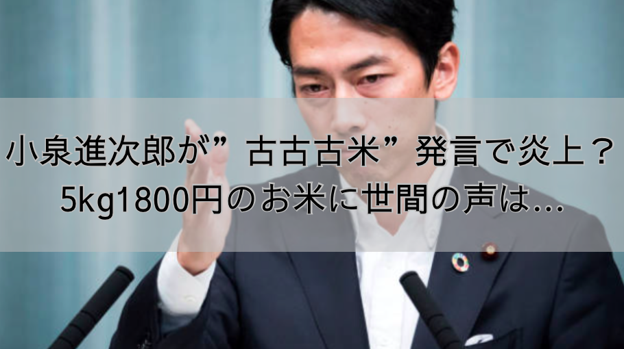 小泉進次郎が”古古古米”発言で炎上？5kg1800円のお米に世間の声は…