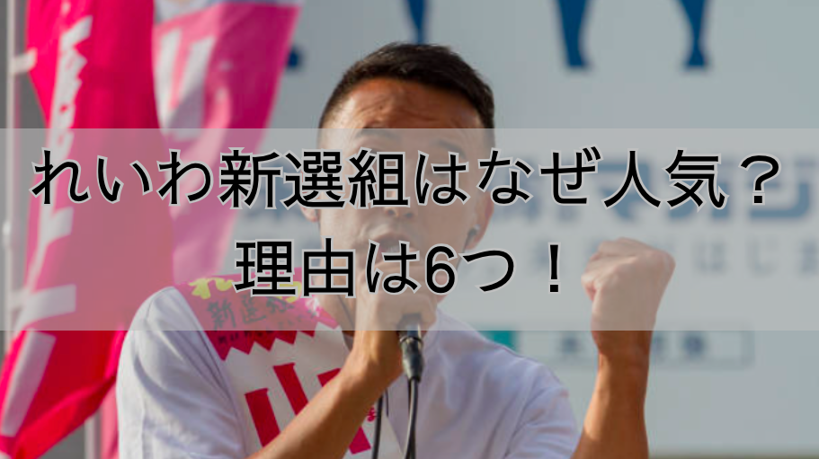 れいわ新選組はなぜ人気？理由は6つ！共感と行動力が支持を生む